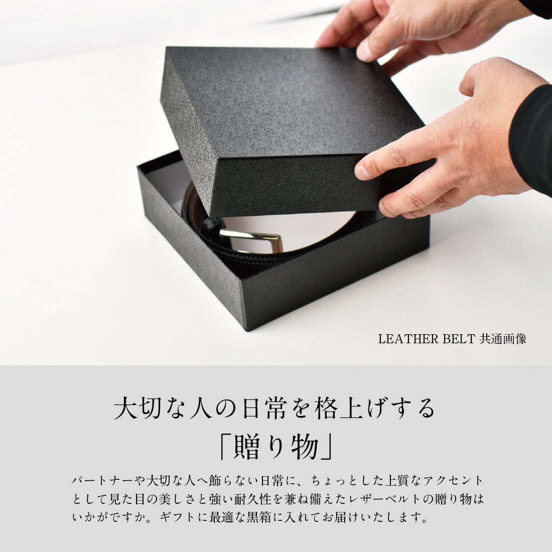 ベルト レザー オイル ＆ アドリア